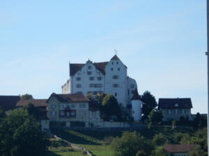 DSCN3045